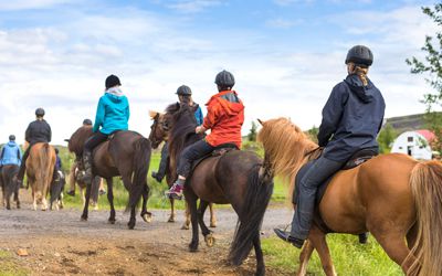 Escursione e Degustazione a Cavallo